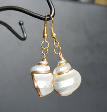 将图片加载到图库查看器,HAPPY000035 SE   Whole Shell Earring