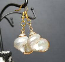将图片加载到图库查看器,HAPPY000035 SE   Whole Shell Earring