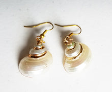 Load image into Gallery viewer, HAPPY000035 SE   Whole Shell Earring