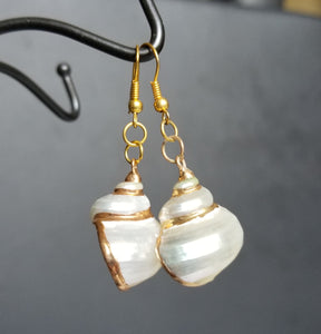 HAPPY000035 SE   Whole Shell Earring