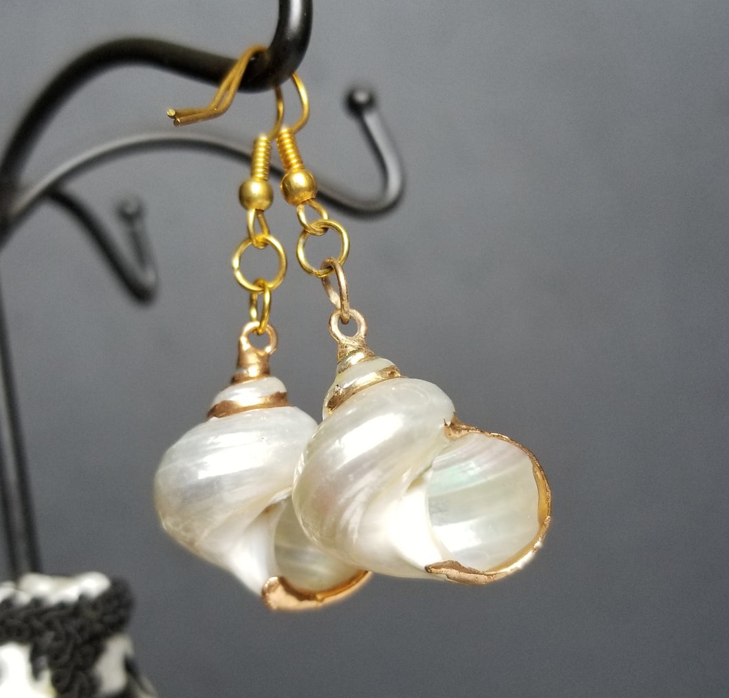 HAPPY000035 SE   Whole Shell Earring