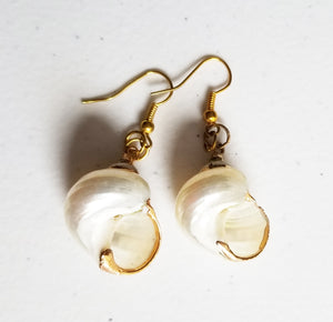 HAPPY000035 SE   Whole Shell Earring